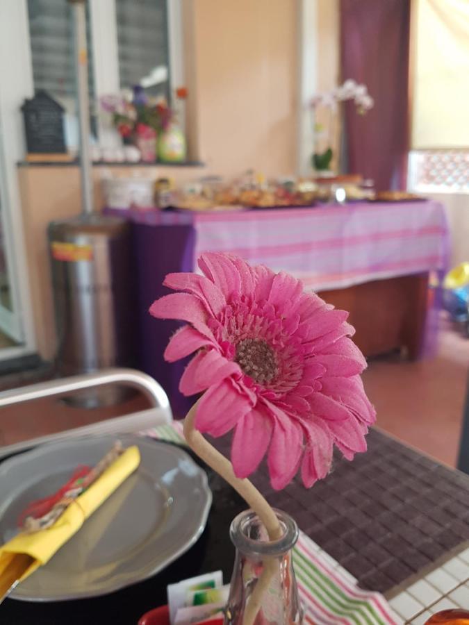 Bed and Breakfast Ghiro Ghiotto Пьетра-Лигуре Экстерьер фото